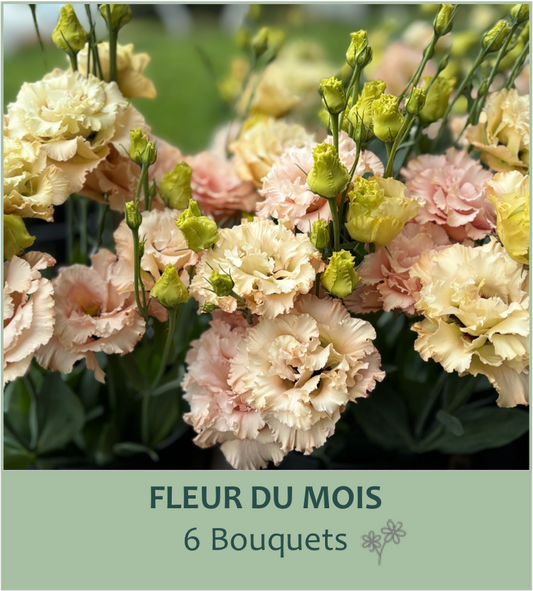 Abonnement floral: Fleur du mois : 6 livraisons