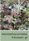 Abonnement floral: Printemps & Automne - 6 bouquets